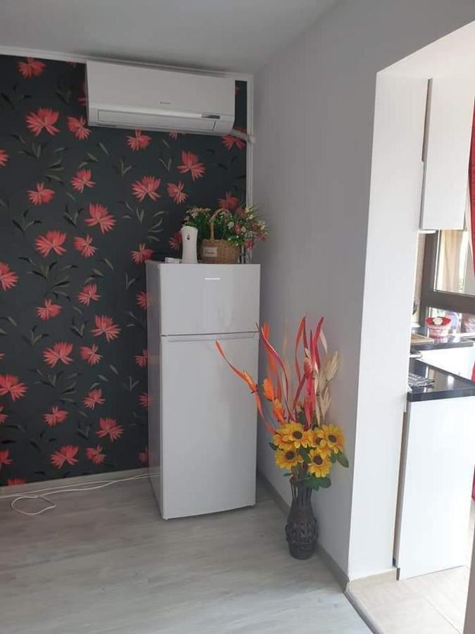 Apartament Alina Сатурн Экстерьер фото